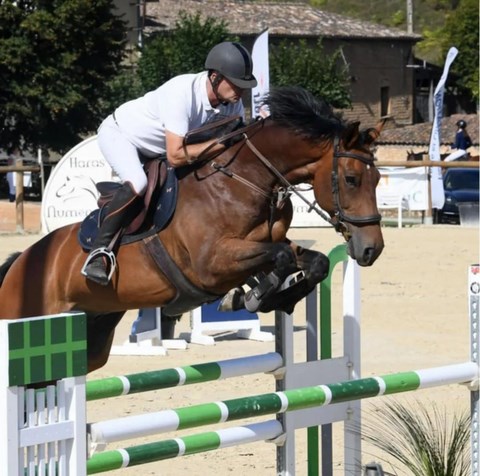 ERIC MONDANGE CSO équipement équitation cheval poney