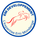 EM DEVELOPPEMENT l'expertise Eric Mondange