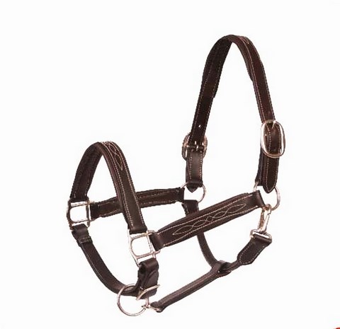 licol fancy mondange sport cuir